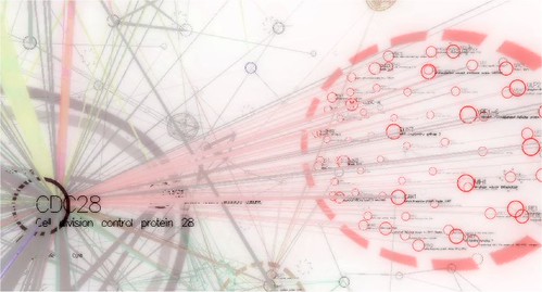 Protein%20visualisation%20on%20Skyrails