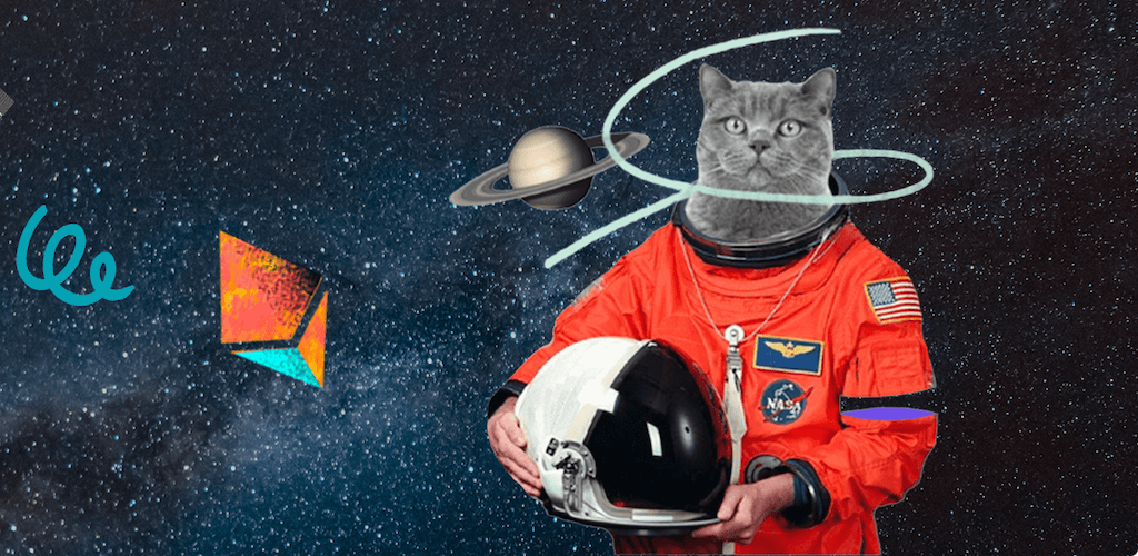Cat in astronaut outfit