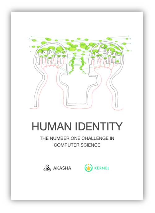 The front cover of the PDF of the essay